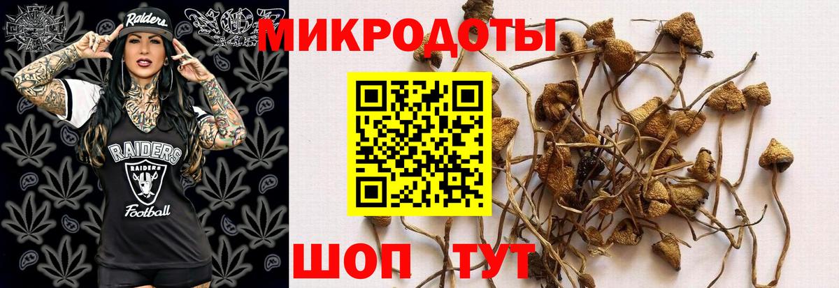 Галлюциногенные грибы MAGIC MUSHROOMS Джанкой